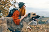 Wandern_mit_Hund_Aufmacher.jpg
