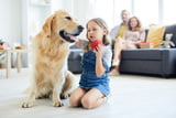 Hund und Kind