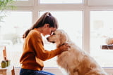 können-hunde-lieben