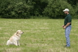 ehft_01260.jpg