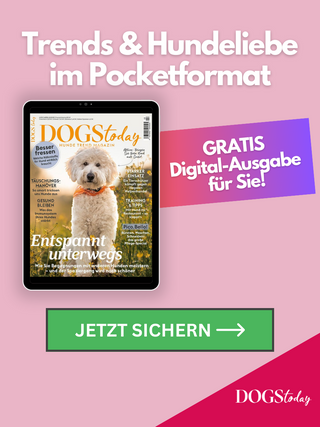 Promo Teaser LeadGen 2024 DT