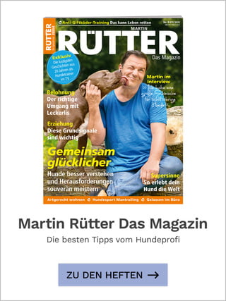 MR_Rütter_Magazin