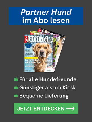 PH Aboteaser 2
