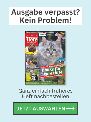 ZEM-EHFT-Ausgabe-verpasst-2024