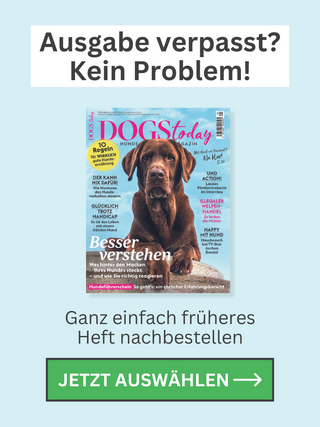 ZEM-DT-Ausgabe-verpasst