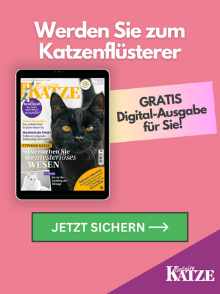 Promo Teaser LeadGen 2024 GK