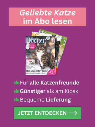 GK Aboteaser