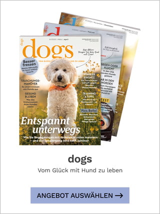 dogs_Abo