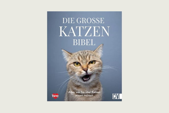 Die große Katzenbibel