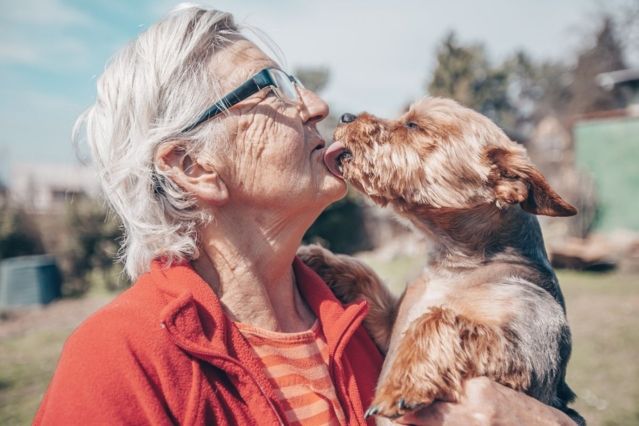 Ein tragischer Fall: Oma June (83) stirbt nach Hundekuss