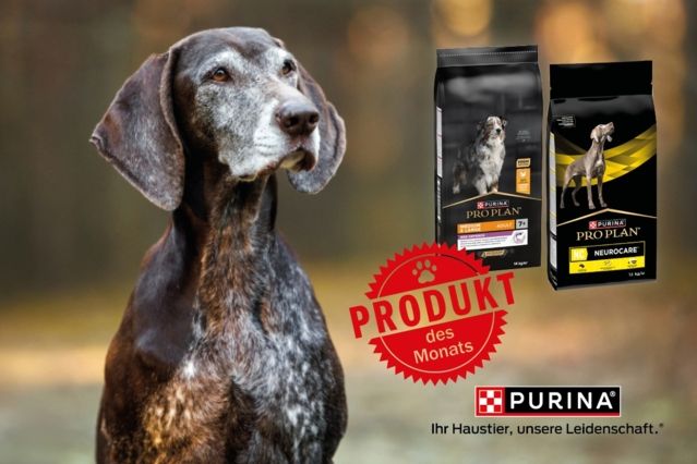Aufmacher Produkt des Monats Pro Plan