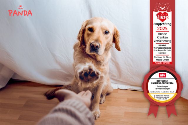 Hund Produkt des Monats: PANDA Tierversicherung Krankenvollschutz Exklusiv für Hunde und Katzen