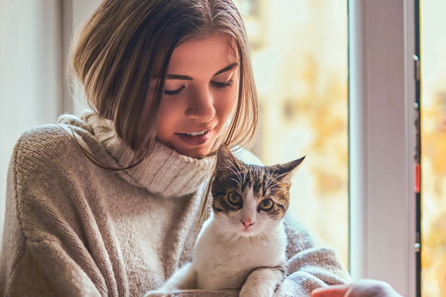 Katze_Herbst_Aufmacher.jpg