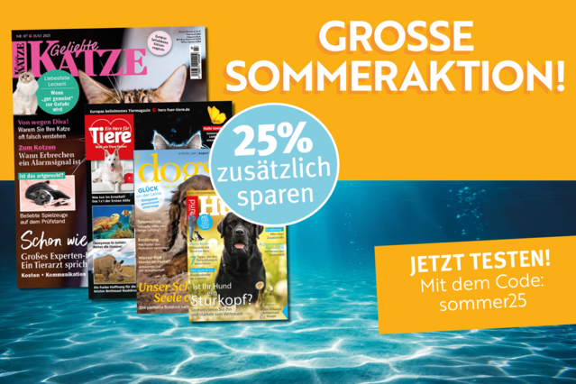 Sommeraktion25