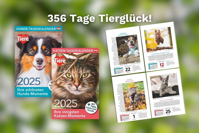 Tierkalender