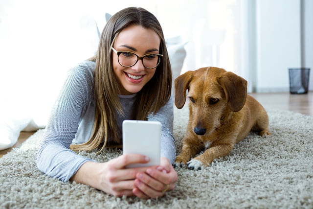 App für Hundebesitzer