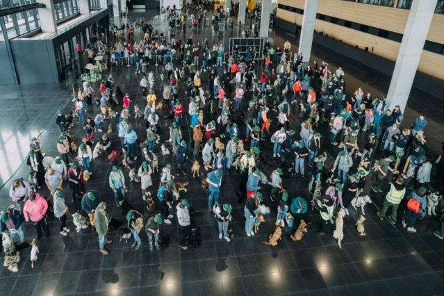 Aufmacher Weltrekord mit Wau-Effekt: James Wellbeloved™ vereint 122 Hunde im perfekten Moment