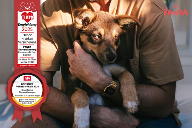 Hund Testsieger PANDA Tierversicherung – Jetzt noch besser!